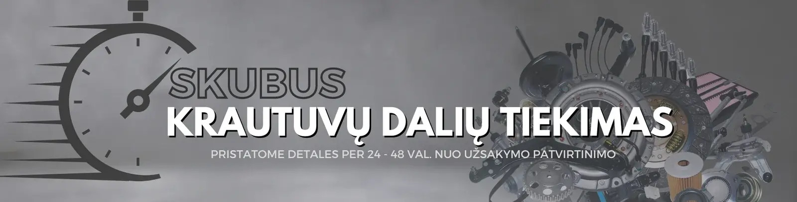 Krautuvų servisas ir taisymas