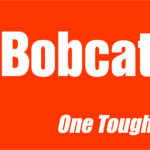 Bobcat
